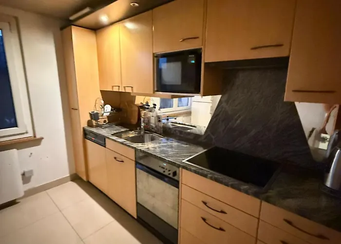 Private In The Villa, Near Station Bolligen